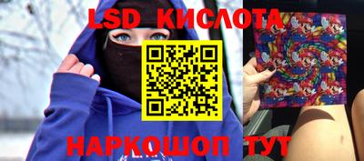 крисы Михайловск