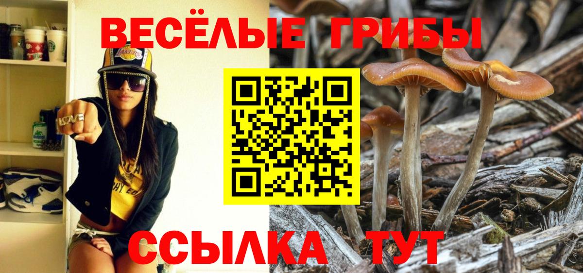 Галлюциногенные грибы MAGIC MUSHROOMS Абакан