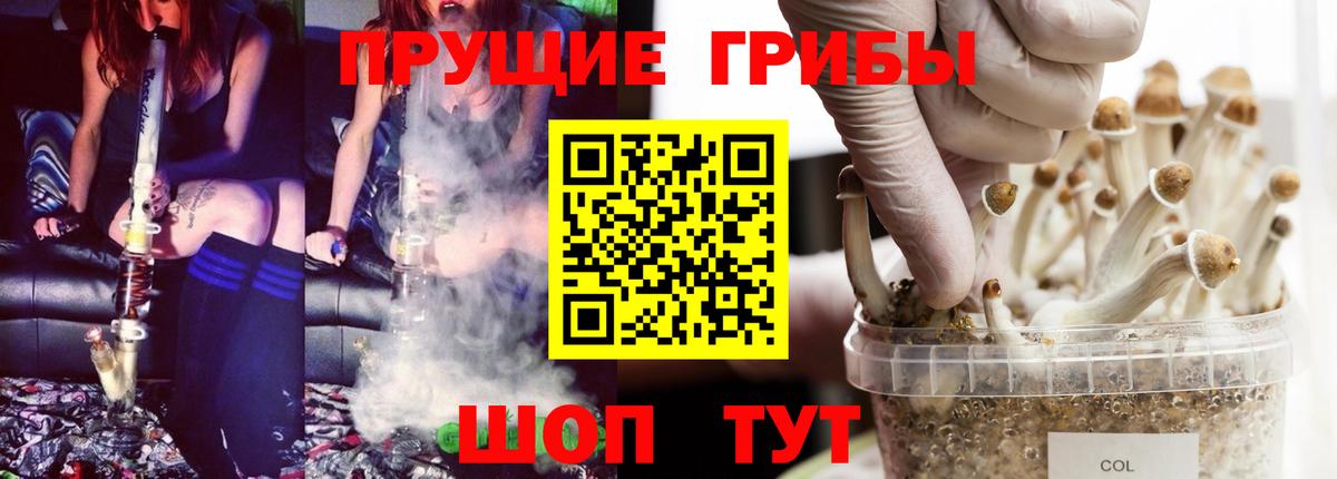 Псилоцибиновые грибы прущие грибы  Вход с VPN  Абакан  Псилоцибиновые грибы GOLDEN TEACHER 