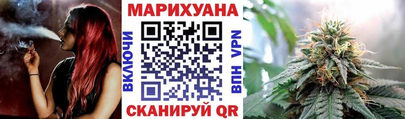 Конопля планчик Абакан